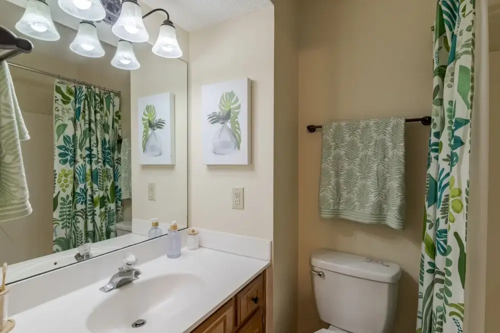 bathroom the vine at bermuda run apartments near gsu