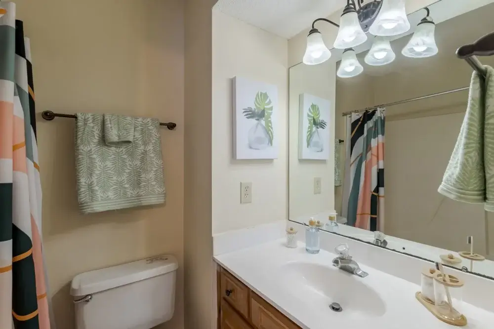 private bathrooms the vine at bermuda run apartments near gsu